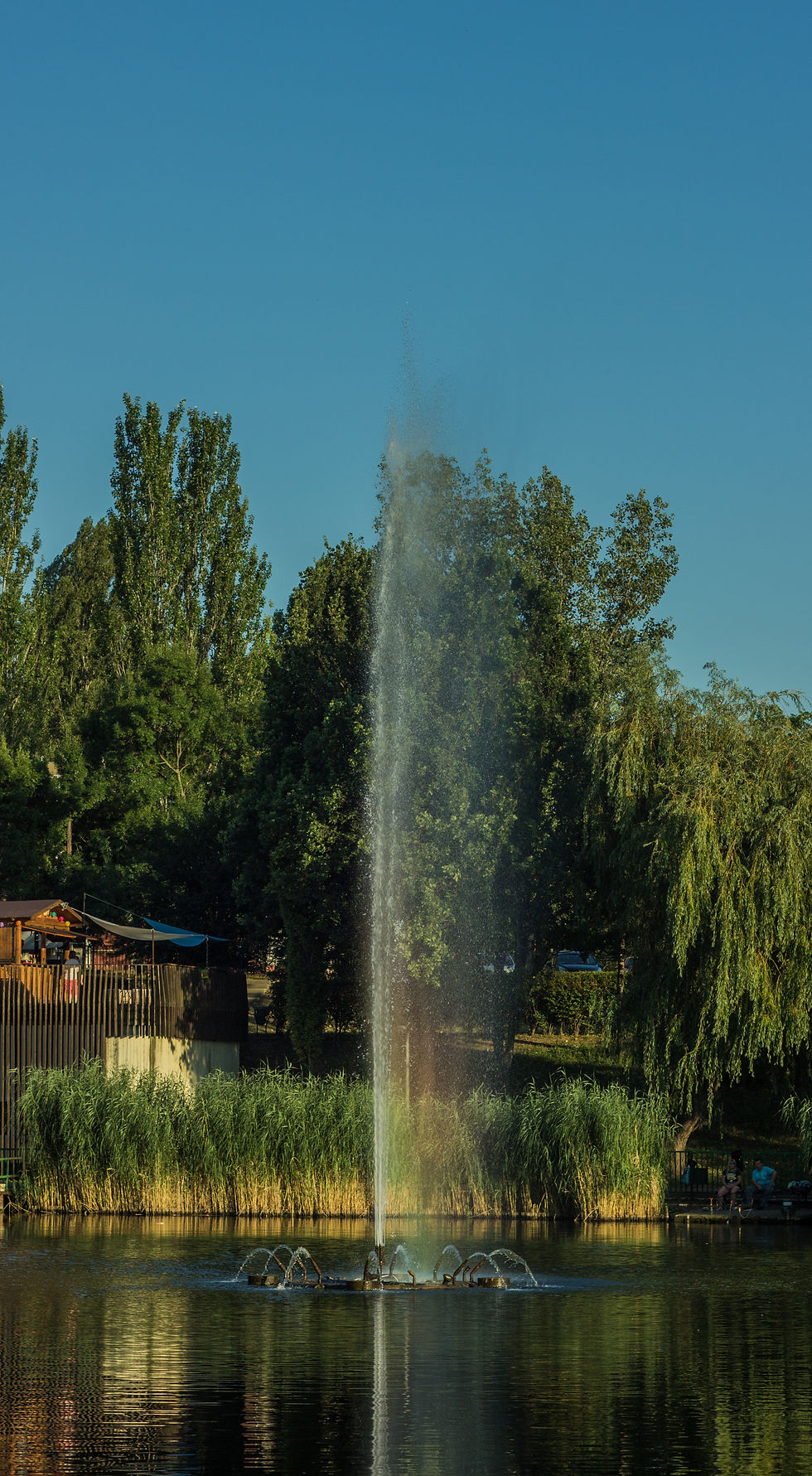 _MG_2514