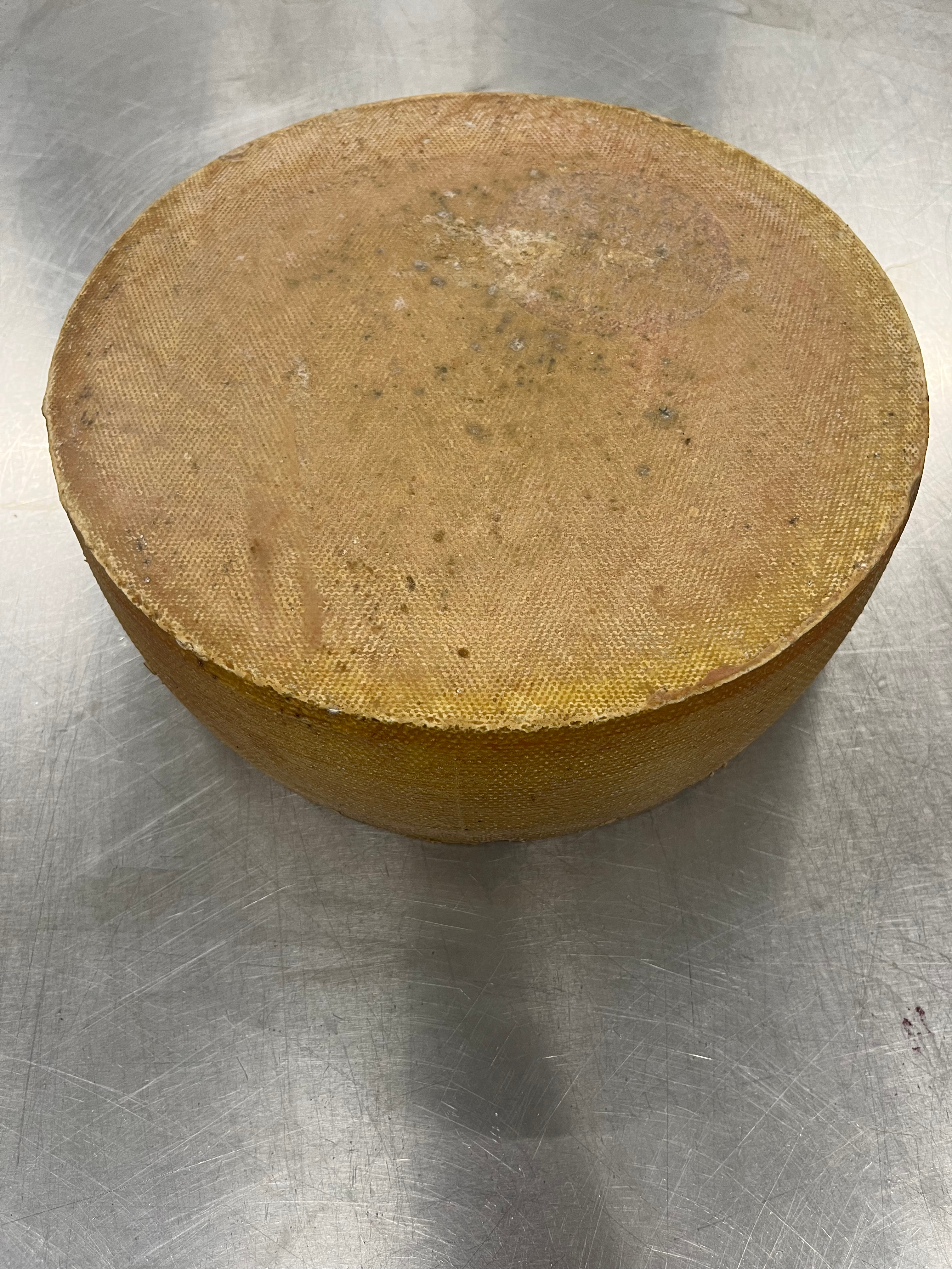 Toggenburger Bergkäse Laib ca. 6kg