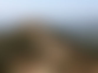 2/10: Wattles Garden and Runyon Canyon Road Loop w/ Liz Koslov