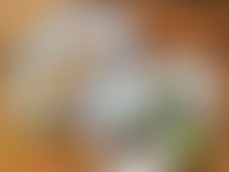 【手間をかけずに映える料理】生春巻き!