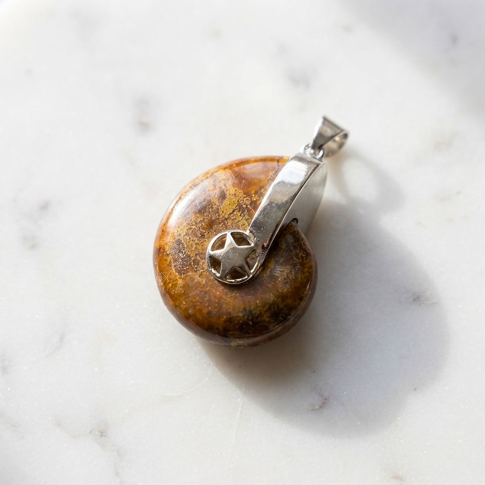 Thumbnail: Ammonite Pendant
