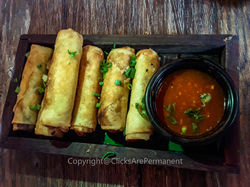 Delhi's Best Veg Roles