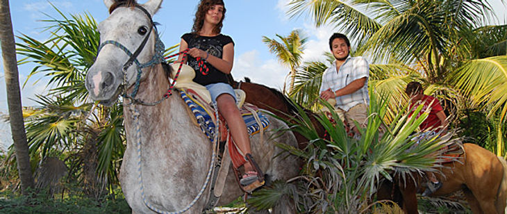 Travel Oportunity