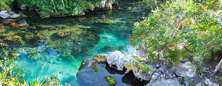 Travel Oportunity