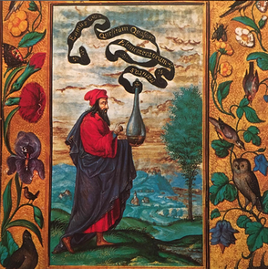 La langue des oiseaux