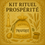 Miniature : Kit rituel de Prospérité