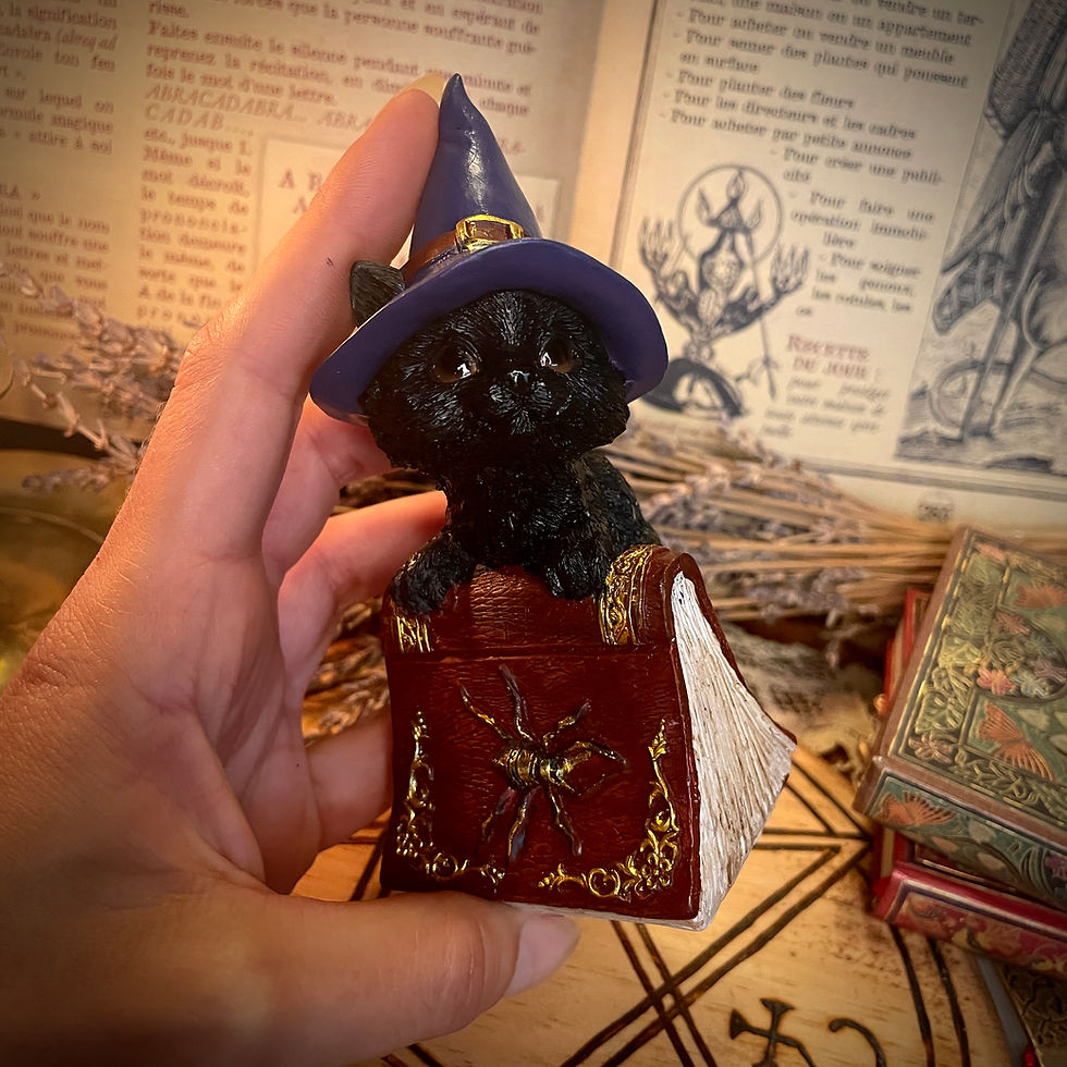 Miniature : Figurine Chat sorcier - Grimoire rouge 