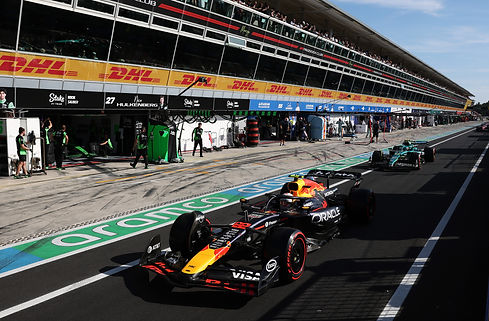 F1.jpg