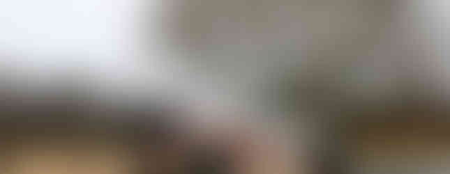 Meirion Evans and Dale Furniss