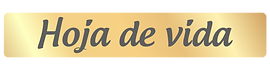 boton hv-07.png