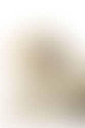 Dog Bites just don't happen OUT of the Blue!