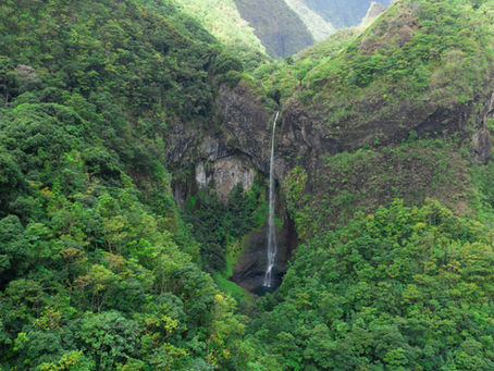 Las 10 mejores rutas de senderismo en Tahití (según tu nivel)