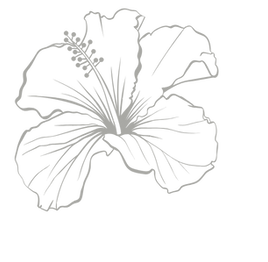 Logos Agence Voyages-3_edited_edited.png