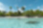 Rangiroa