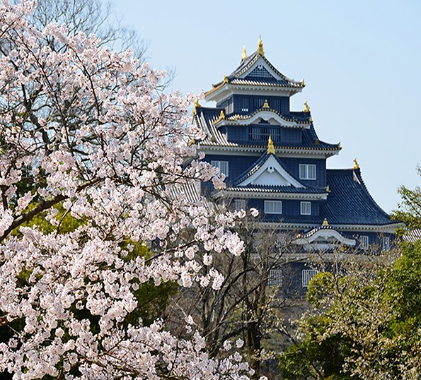 Okayama Castle.png