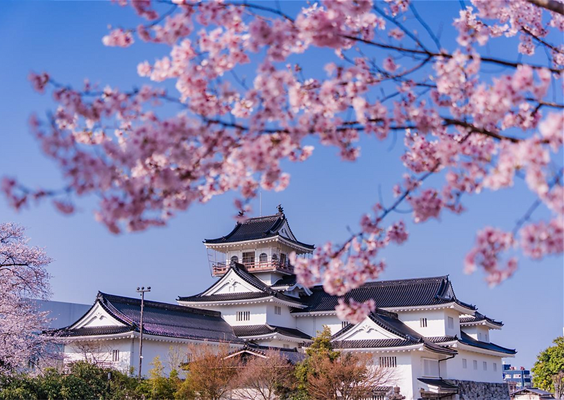 Toyama back.png