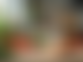 Elevate Your Cooking Skills with Personalized Classes