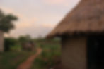 IMG_8553.jpeg