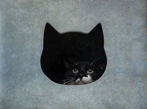 Custom Pet enclosures