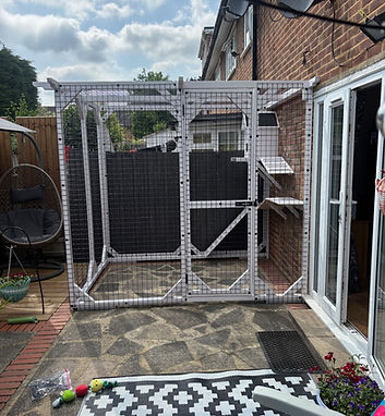 Outdoor white Pergola Catio structure in a gadren with cat shelves by Custom Pet Enclosures