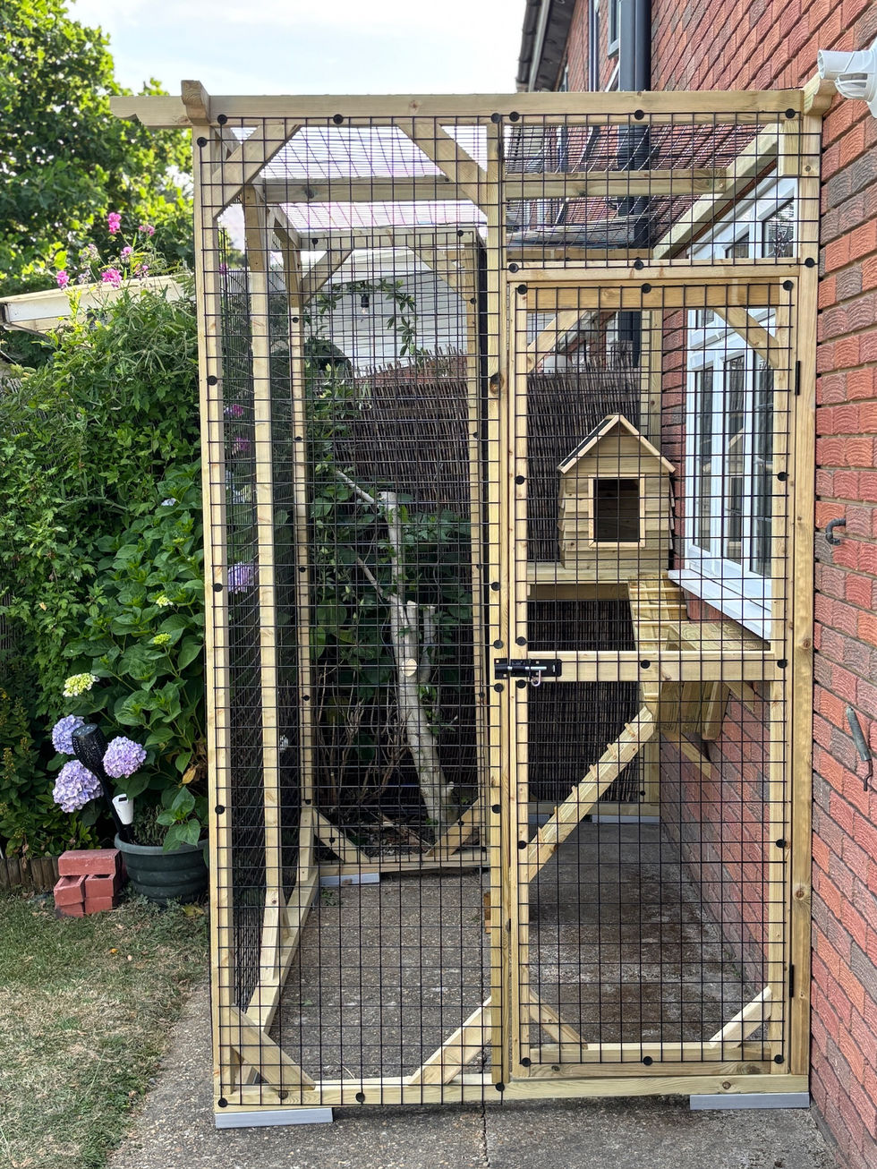 A Pergola Style Catio installed over a customers back window to allow the cat access. Filled with shelving, ramps and a den by Custom Pet Enclosures.