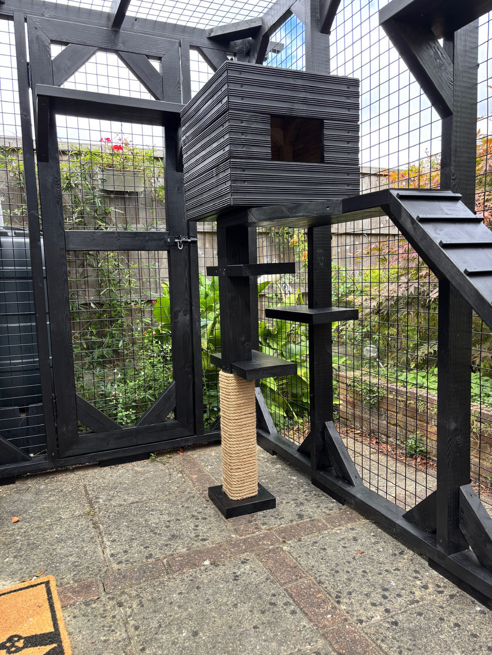 A look inside a Pergola Style catio with side gate by Custom Pet Enclosures. Here you can see a custom made cat tree with Spiral staircase leading to a Den.