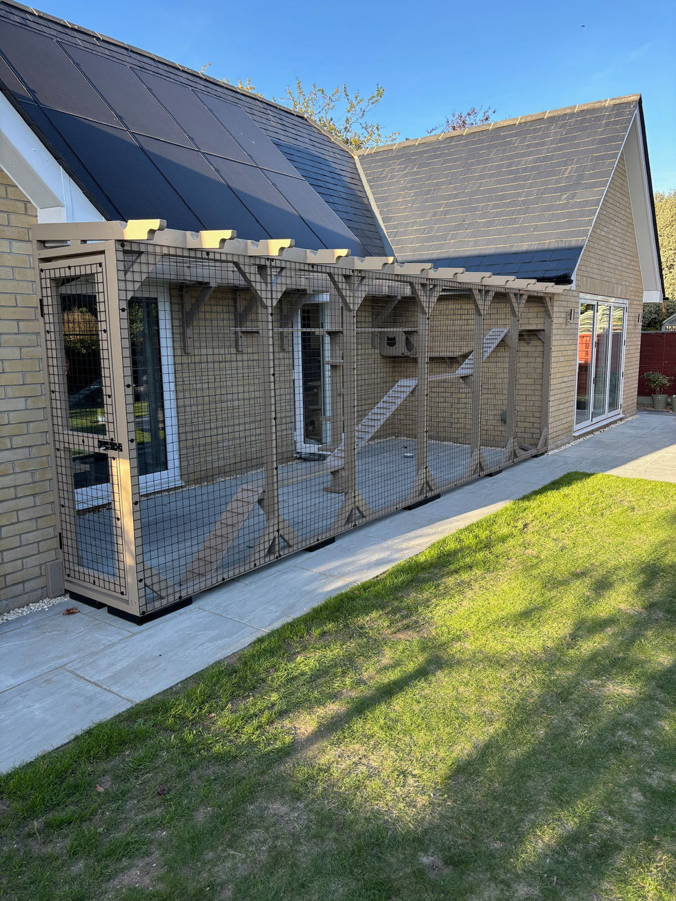 A stunning Pergola Style Catio by Custom Pet Enclosures with the inside decked out with custom made Catio Furniture including Dens, Cat Tree, ramps and shelving all painted in Grey Beige Osmo colours.