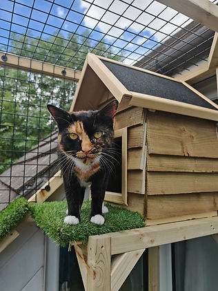 Custom Pet Enclosures