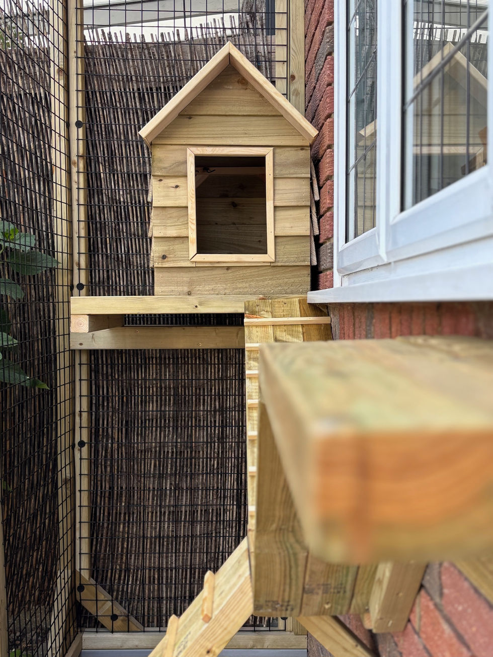 A wooden Den, up high on a wooden platform with a ramp leading up to it inside a Catio by Custom Pet Enclosures.