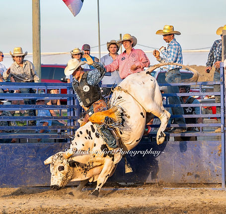 rodeo.jpg