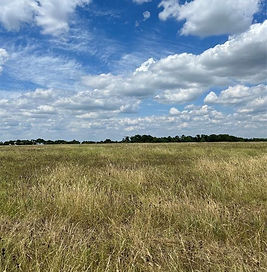 TBD 5 Pacen Place, Chappell Hill, Texas 77426 Austin County