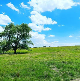 TBD 2 Pacen Place Chappell Hill, TX 77426