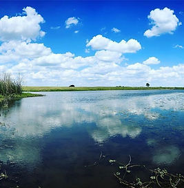 TBD 7 Pacen Place, Chappell Hill, Texas 77426 Austin County