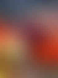  נועה בתערוכת פרחים בהולנד