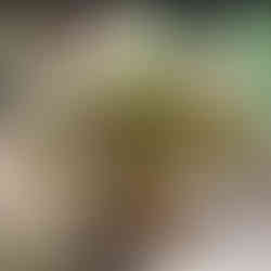 זר פרחים Late Bloomer