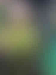  נועה בתערוכת פרחים בהולנד