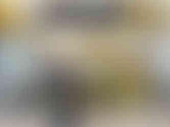  נועה בתערוכת פרחים בהולנד