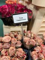  נועה בתערוכת פרחים בהולנד