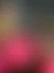  נועה בתערוכת פרחים בהולנד