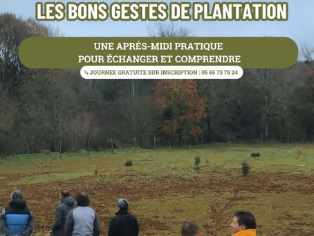 Planter, tailler, travailler le sol