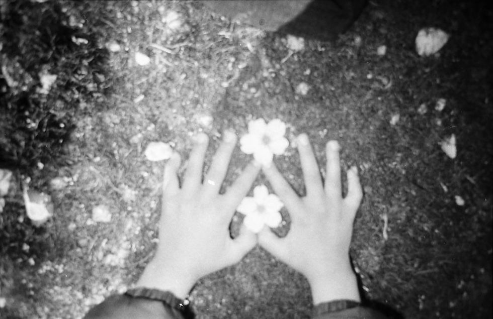 Hands and Flowers