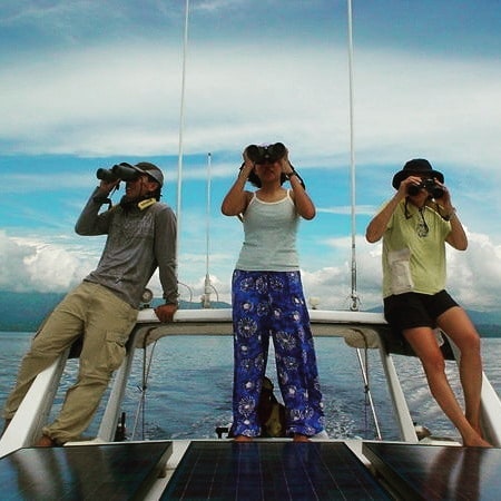 Jean volunteered in WWF-Philippines where she assisted in their research of dolphins and whales in Tañon Strait.