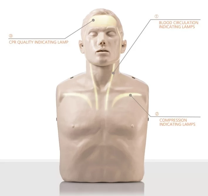 cpr-manikin-benefits.webp