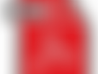 February 2013 Newsletter