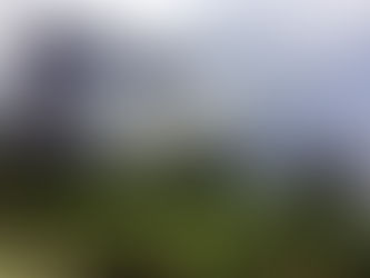 A Tour of Gardens by the Bay | TMC Hawthorn English