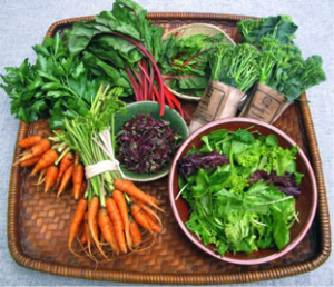 vegetables1