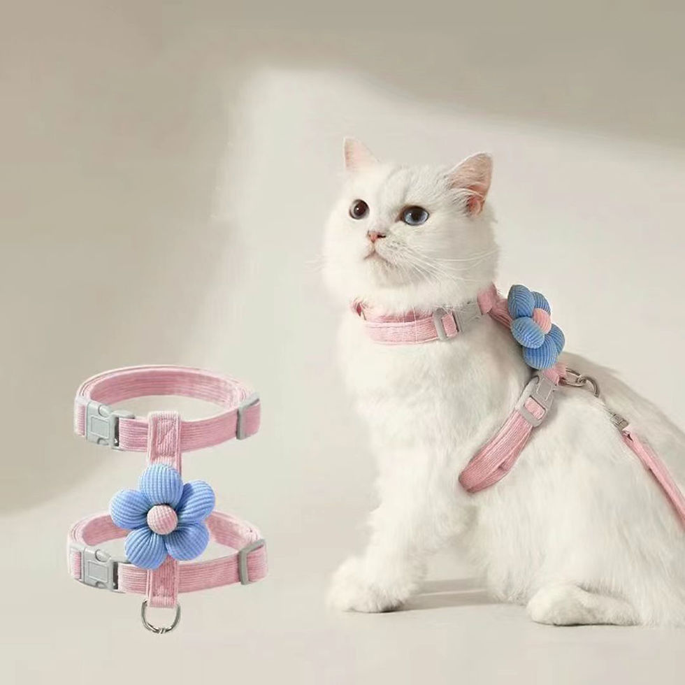 Thumbnail: Adjustable Breathable Cat Harness and Leash Set