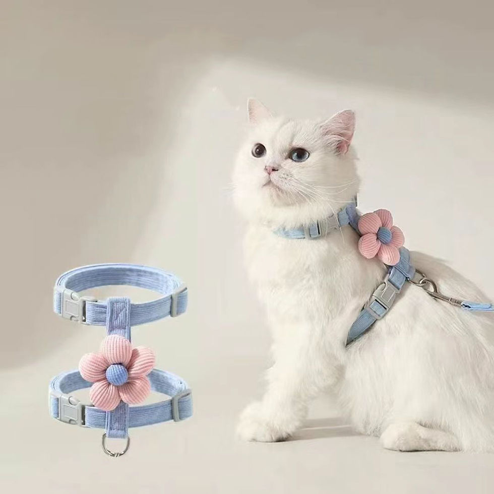 Thumbnail: Adjustable Breathable Cat Harness and Leash Set