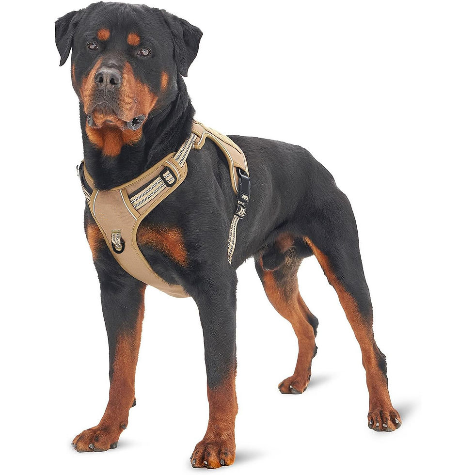 Thumbnail: Military Tactical No-Pull Large Dog Harness with Reflective Straps