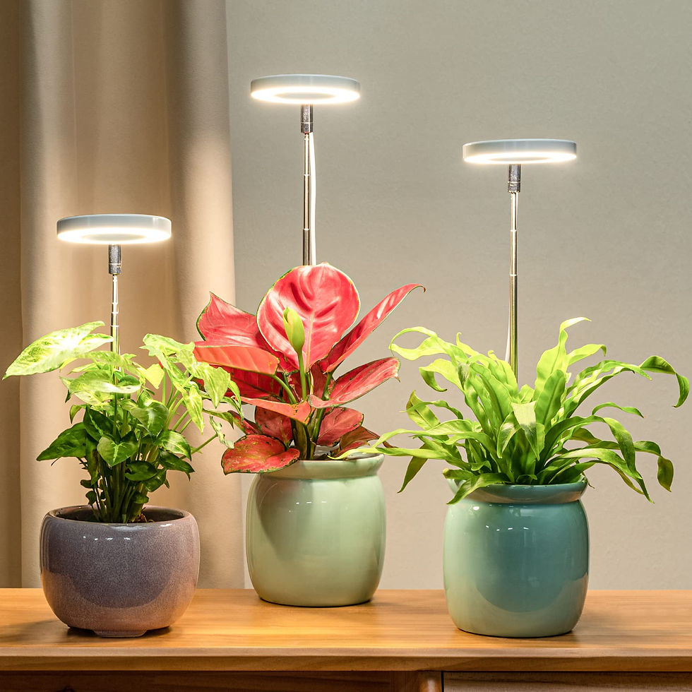 Thumbnail: Full Spectrum LED Halo Grow Light for Indoor Plants